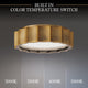 Tarte 12" LED Flush Mount