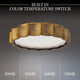 Tarte 16" LED Flush Mount