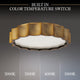 Tarte 16" LED Flush Mount