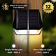 Deck & Wall Light