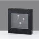 Jellyfish Motion Light Box