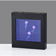 Jellyfish Motion Light Box