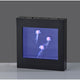 Jellyfish Motion Light Box