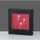 Jellyfish Motion Light Box