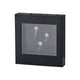 Jellyfish Motion Light Box