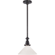 Boston Pendant with Slant Shade
