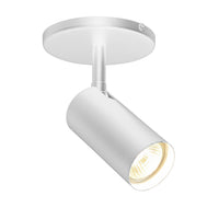 Stanly 1-Light Spot Light
