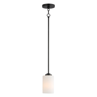 Deven 1-Light Mini Pendant