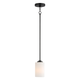Deven 1-Light Mini Pendant