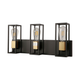 Cathie Wood 3-Light Vanity