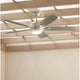 Tranquil 56" Weather+ Ceiling Fan