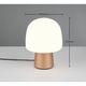 Steen 1-Light Table Lamp