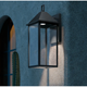 Prin 22" 1-Light Outdoor DarkSky Wall Light