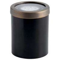 Well-Light with Trim PAR36 (Drop-In)