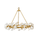 Audra Large Ring Chandelier