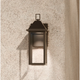 Prin 14" 1-Light Outdoor DarkSky Wall Light