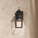 Prin 14" 1-Light Outdoor DarkSky Wall Light
