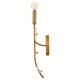 Aliso Medium Single Light Sconce