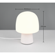 Steen 1-Light Table Lamp