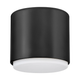 Cedric Extra Small Flush Mount