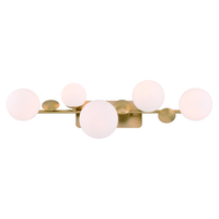 Vine Vanity Light 5-Light