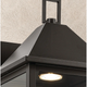 Prin 22" 1-Light Outdoor DarkSky Wall Light