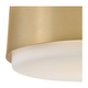 Cedric Small Semi-Flush Mount