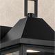 Prin 14" 1-Light Outdoor DarkSky Wall Light