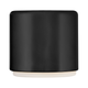 Cedric Extra Small Flush Mount