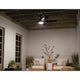 Tranquil 56" Weather+ Ceiling Fan