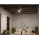 Tranquil 56" Weather+ Ceiling Fan