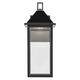 Prin 16.75" 1-Light Outdoor DarkSky Wall Light