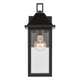 Prin 14" 1-Light Outdoor Wall Light