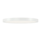 Ara 11.25" Round LED Flush mount