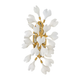Audra Medium Two Light Sconce
