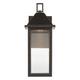 Prin 14" 1-Light Outdoor DarkSky Wall Light