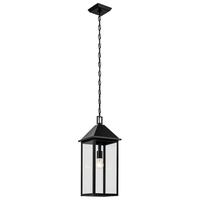 Prin 22" 1-Light Outdoor Pendant