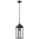 Prin 22" 1-Light Outdoor Pendant
