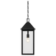 Prin 22" 1-Light Outdoor Pendant