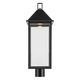 Prin 25" 1-Light Outdoor DarkSky Post Light