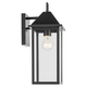 Prin 16.75" 1-Light Outdoor Wall Light