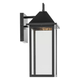 Prin 16.75" 1-Light Outdoor DarkSky Wall Light