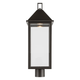 Prin 25" 1-Light Outdoor DarkSky Post Light