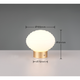 Earl LED Wireless Lamp