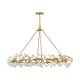 Audra Large Ring Chandelier