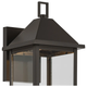 Prin 16.75" 1-Light Outdoor DarkSky Wall Light