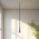 PD15832-BK