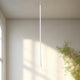 PD15832-WH