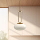 PD29806-BG