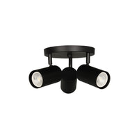 Taylor 3-Light Spot Light